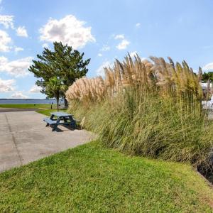 Photo #10 of 3665 Sandpiper Road, Virginia Beach, Virginia
