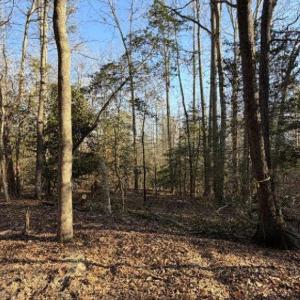 Photo #1 of 4.68AC King William Road, King William, Virginia 4.7 acres