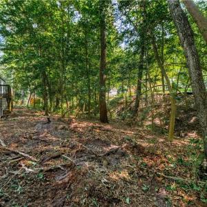 Photo #10 of 166 Barricks Mill Road, Topping, Virginia 0.5 acres