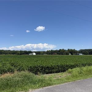 Photo #4 of 4332 Sunray Avenue, Chesapeake, Virginia 10.0 acres