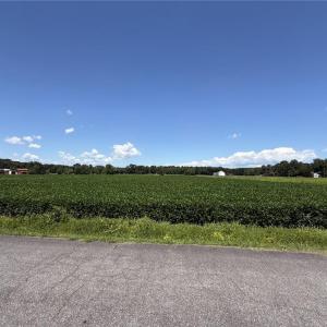 Photo #5 of 4332 Sunray Avenue, Chesapeake, Virginia 10.0 acres