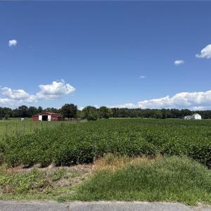 Photo #7 of 4332 Sunray Avenue, Chesapeake, Virginia 10.0 acres