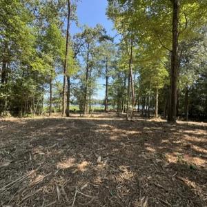 Photo #13 of 3 Lots Highgate Lane, Gloucester, Virginia 17.0 acres