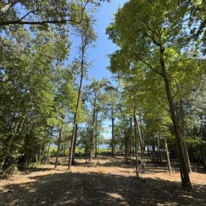 Photo #14 of 3 Lots Highgate Lane, Gloucester, Virginia 17.0 acres