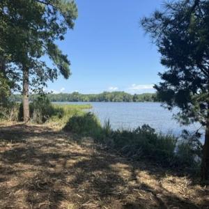 Photo #3 of 3 Lots Highgate Lane, Gloucester, Virginia 17.0 acres