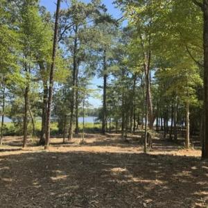 Photo #4 of 3 Lots Highgate Lane, Gloucester, Virginia 17.0 acres