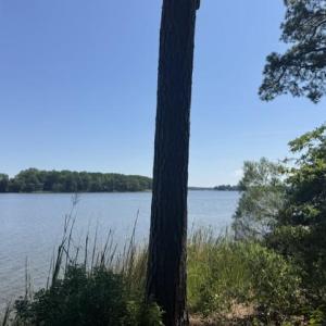 Photo #5 of 3 Lots Highgate Lane, Gloucester, Virginia 17.0 acres