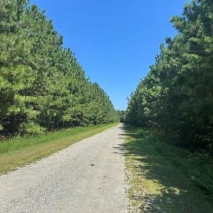 Photo #6 of 3 Lots Highgate Lane, Gloucester, Virginia 17.0 acres