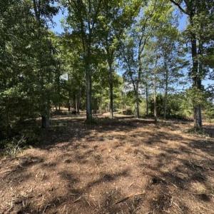 Photo #8 of 3 Lots Highgate Lane, Gloucester, Virginia 17.0 acres