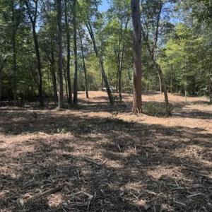 Photo #9 of 3 Lots Highgate Lane, Gloucester, Virginia 17.0 acres