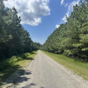 Photo #10 of 3 Lots Highgate Lane, Gloucester, Virginia 17.0 acres