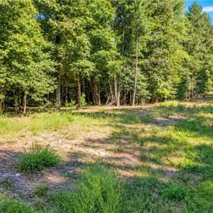 Photo #19 of 3 Lots Highgate Lane, Gloucester, Virginia 17.0 acres