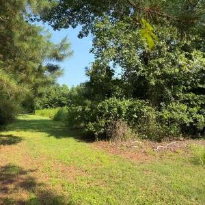 Photo #3 of 110 Hall Road, Hampton, Virginia 1.2 acres
