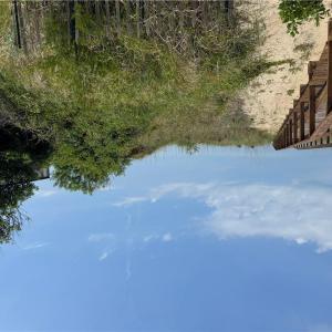 Photo #2 of 4016 Rugosa Rose Court, Norfolk, Virginia 0.2 acres