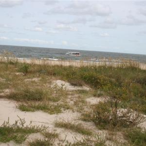 Photo #6 of 4016 Rugosa Rose Court, Norfolk, Virginia 0.2 acres