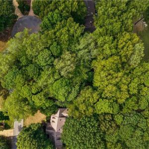 Photo #24 of 100 Robert Miles, Williamsburg, Virginia 0.5 acres