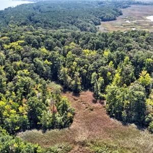 Photo #14 of 270 Lawnes Neck Drive, Smithfield, Virginia 5.0 acres