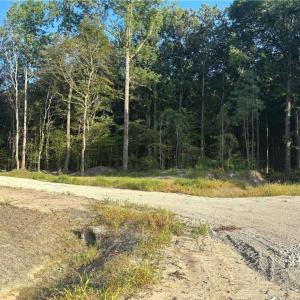 Photo #3 of 6608 Blackwater Road, Virginia Beach, Virginia 3.4 acres