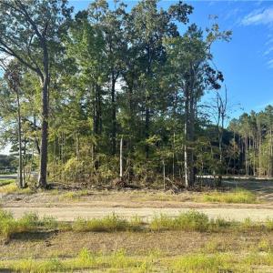 Photo #4 of 6608 Blackwater Road, Virginia Beach, Virginia 3.4 acres