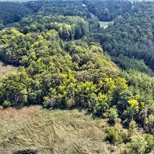 Photo #2 of 1201 Creekway Drive, Smithfield, Virginia 1.8 acres