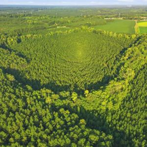Photo #2 of TBD Brunswick Road, Emporia, Virginia 48.8 acres