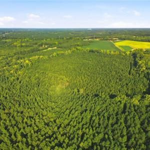 Photo #12 of TBD Brunswick Road, Emporia, Virginia 48.8 acres