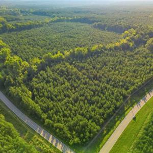 Photo #13 of TBD Brunswick Road, Emporia, Virginia 48.8 acres