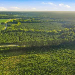 Photo #14 of TBD Brunswick Road, Emporia, Virginia 48.8 acres