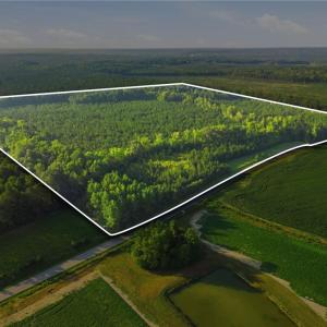 Photo #15 of TBD Brunswick Road, Emporia, Virginia 48.8 acres