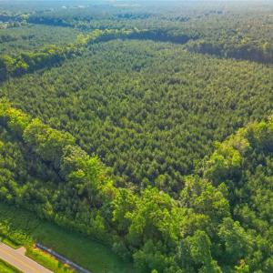Photo #16 of TBD Brunswick Road, Emporia, Virginia 48.8 acres