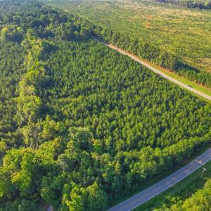Photo #3 of TBD Brunswick Road, Emporia, Virginia 48.8 acres