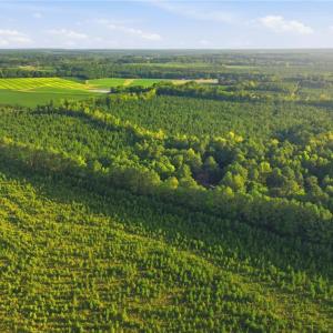 Photo #5 of TBD Brunswick Road, Emporia, Virginia 48.8 acres