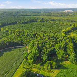 Photo #6 of TBD Brunswick Road, Emporia, Virginia 48.8 acres