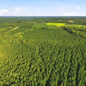 Photo #7 of TBD Brunswick Road, Emporia, Virginia 48.8 acres