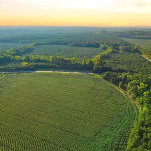Photo #8 of TBD Brunswick Road, Emporia, Virginia 48.8 acres