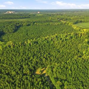 Photo #9 of TBD Brunswick Road, Emporia, Virginia 48.8 acres