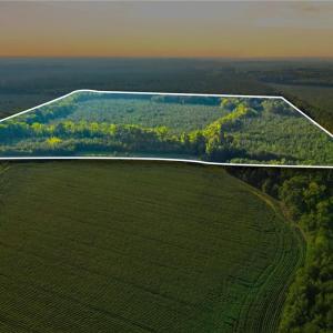 Photo #10 of TBD Brunswick Road, Emporia, Virginia 48.8 acres