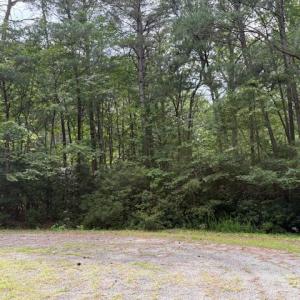 Photo #5 of Lot 24 Rivers Knoll, Heathsville, Virginia 3.5 acres