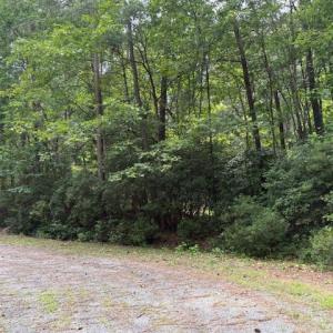 Photo #4 of Lot 28 Rivers Knoll, Heathsville, Virginia 2.7 acres