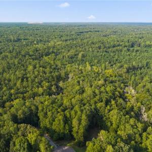 Photo #12 of Lot 9 Deerwood Court, Gloucester, Virginia 8.7 acres