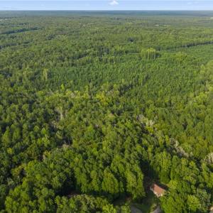 Photo #13 of Lot 9 Deerwood Court, Gloucester, Virginia 8.7 acres