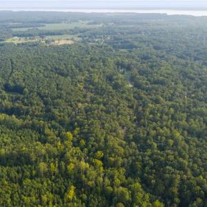 Photo #16 of Lot 9 Deerwood Court, Gloucester, Virginia 8.7 acres