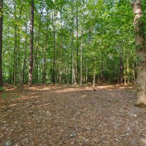 Photo #3 of Lot 9 Deerwood Court, Gloucester, Virginia 8.7 acres
