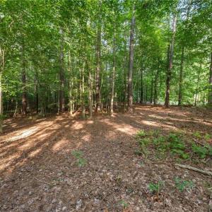 Photo #4 of Lot 9 Deerwood Court, Gloucester, Virginia 8.7 acres