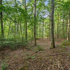 Photo #5 of Lot 9 Deerwood Court, Gloucester, Virginia 8.7 acres