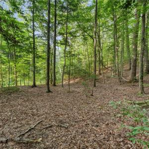 Photo #6 of Lot 9 Deerwood Court, Gloucester, Virginia 8.7 acres