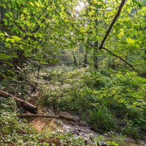 Photo #7 of Lot 9 Deerwood Court, Gloucester, Virginia 8.7 acres