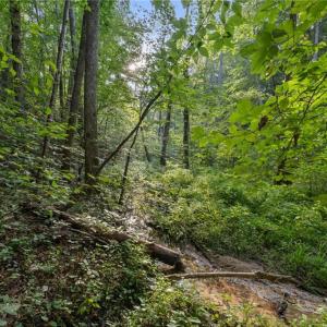 Photo #9 of Lot 9 Deerwood Court, Gloucester, Virginia 8.7 acres