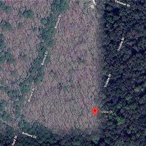 Photo #2 of 0.229 Trinkle Street, Chesapeake, Virginia 0.2 acres