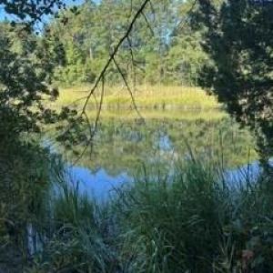 Photo #1 of 4 ACRE Gayle Way, Carrollton, Virginia 4.0 acres